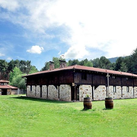 La Cabana De Sara Vinuesa Exterior foto
